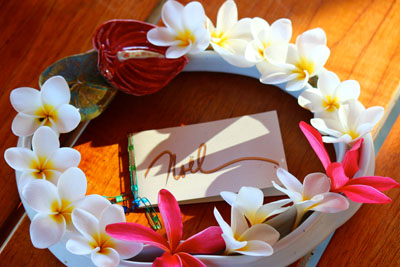 Big Island Home Show Hawaii 2011 Big Island Home Show Hawaii 2011